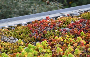 the cost of Crwbin green roof installation